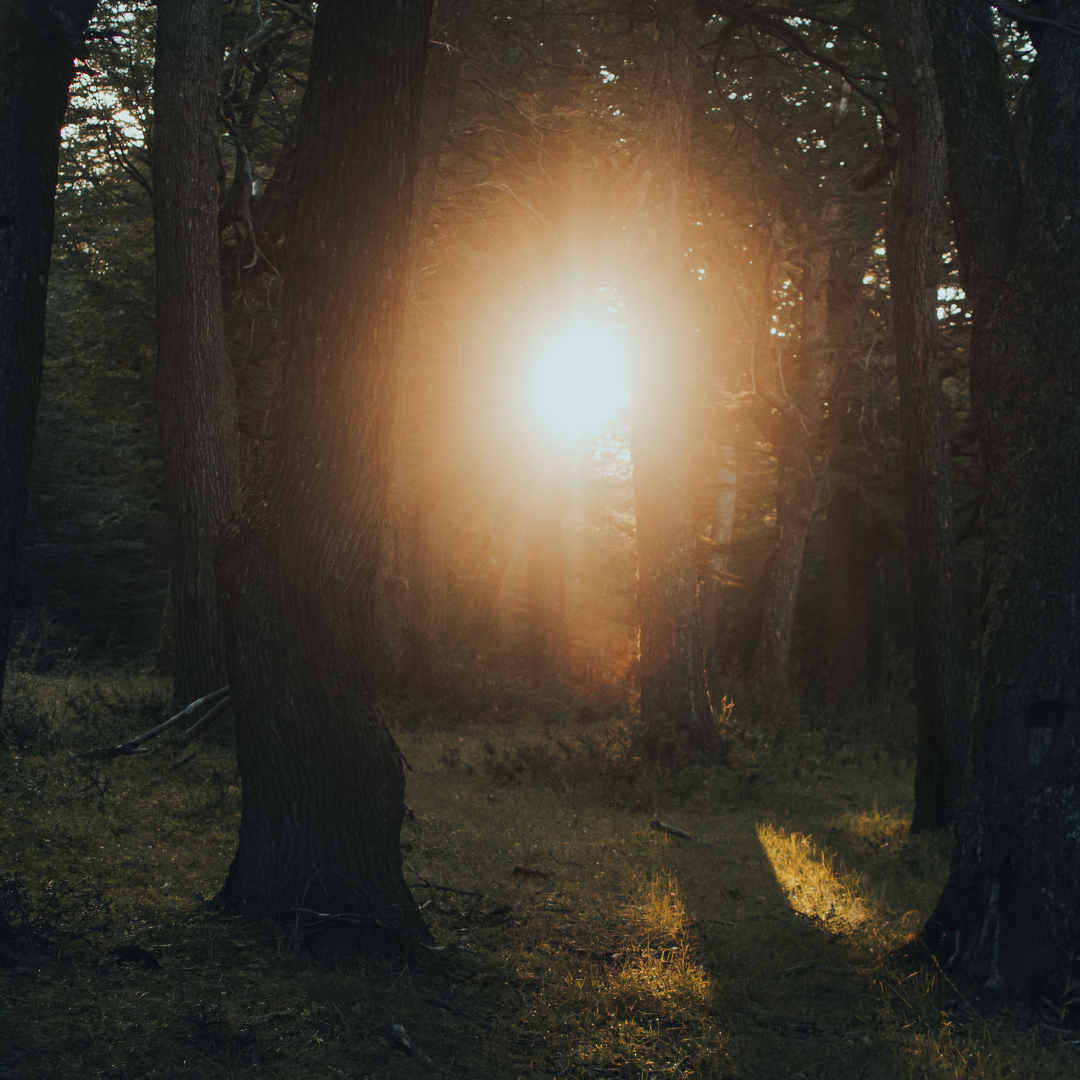Marching Towards the Light