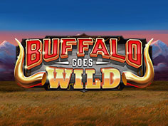 Buffalo Goes Wild