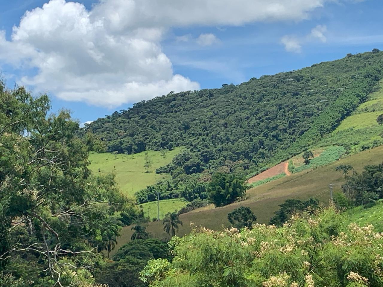Vista frontal "c"