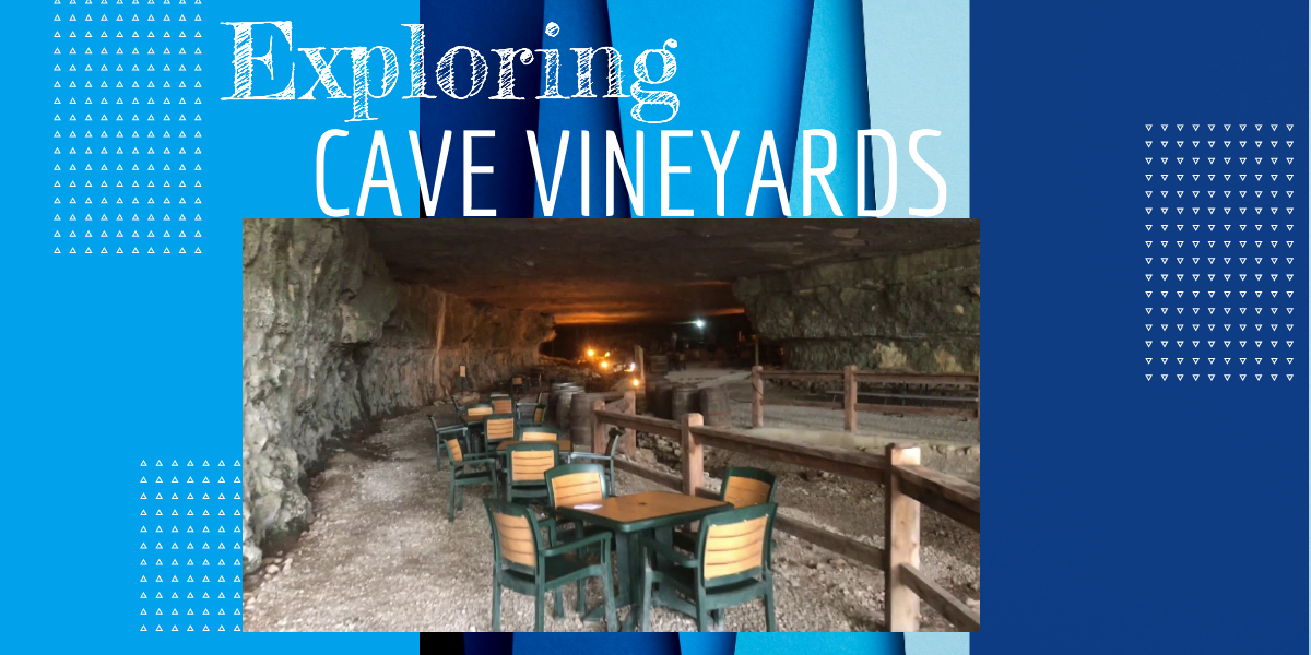 Exploring Cave Vineyard