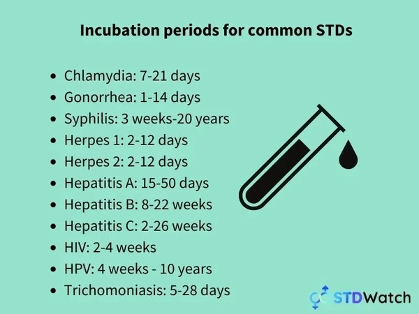 How Long Do STD Tests Take STDWatch