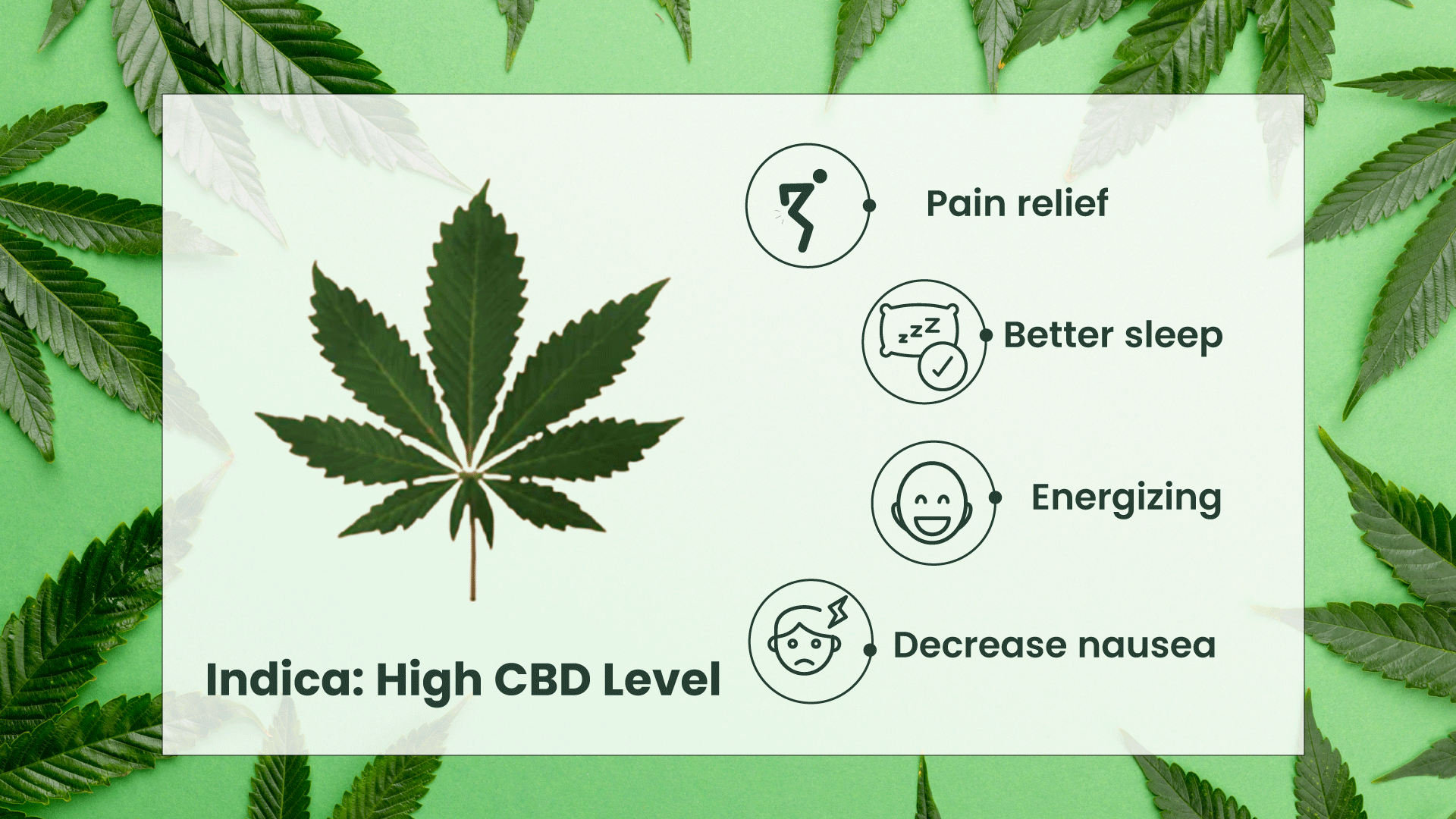 Benefits-of-Indica.png