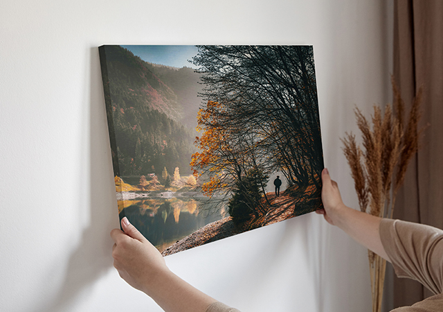 canvas print of a forest