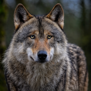 BLOG Coverbild (7).png