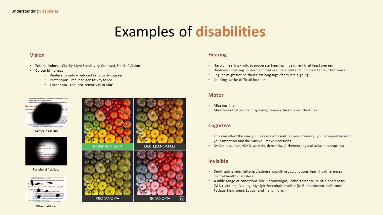 Accessibility Introduction - Slide5.JPG