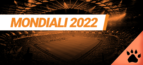 Coppa del Mondo 2022 | News & Blog LeoVegas Sport