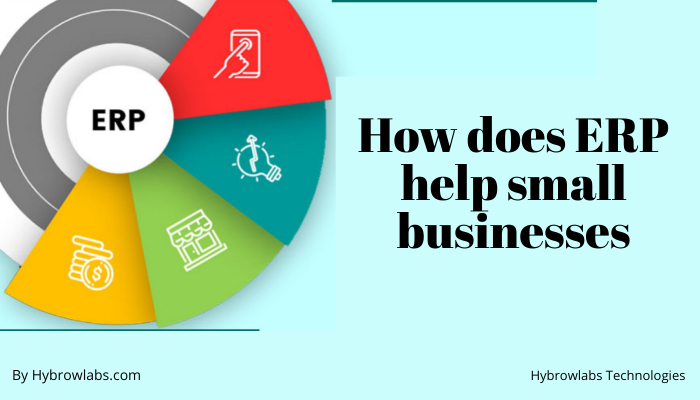 How does ERP help small businesses.jpeg