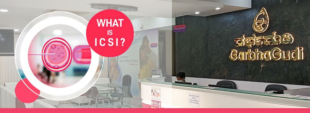 What is ICSI?