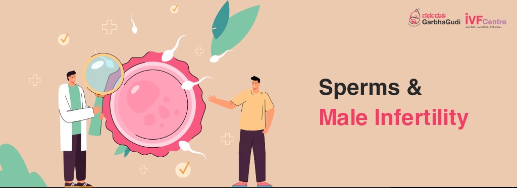 Sperms And Male Infertility Garbhagudi Ivf Centre 