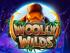 Woolly Wilds