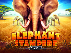Elephant Stampede Se