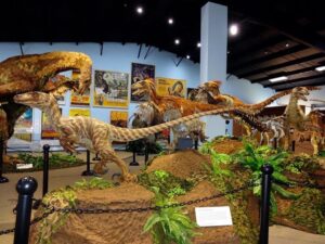 wp-content-uploads-2021-03-UT-Dinosaur-Museum-300x225.jpg