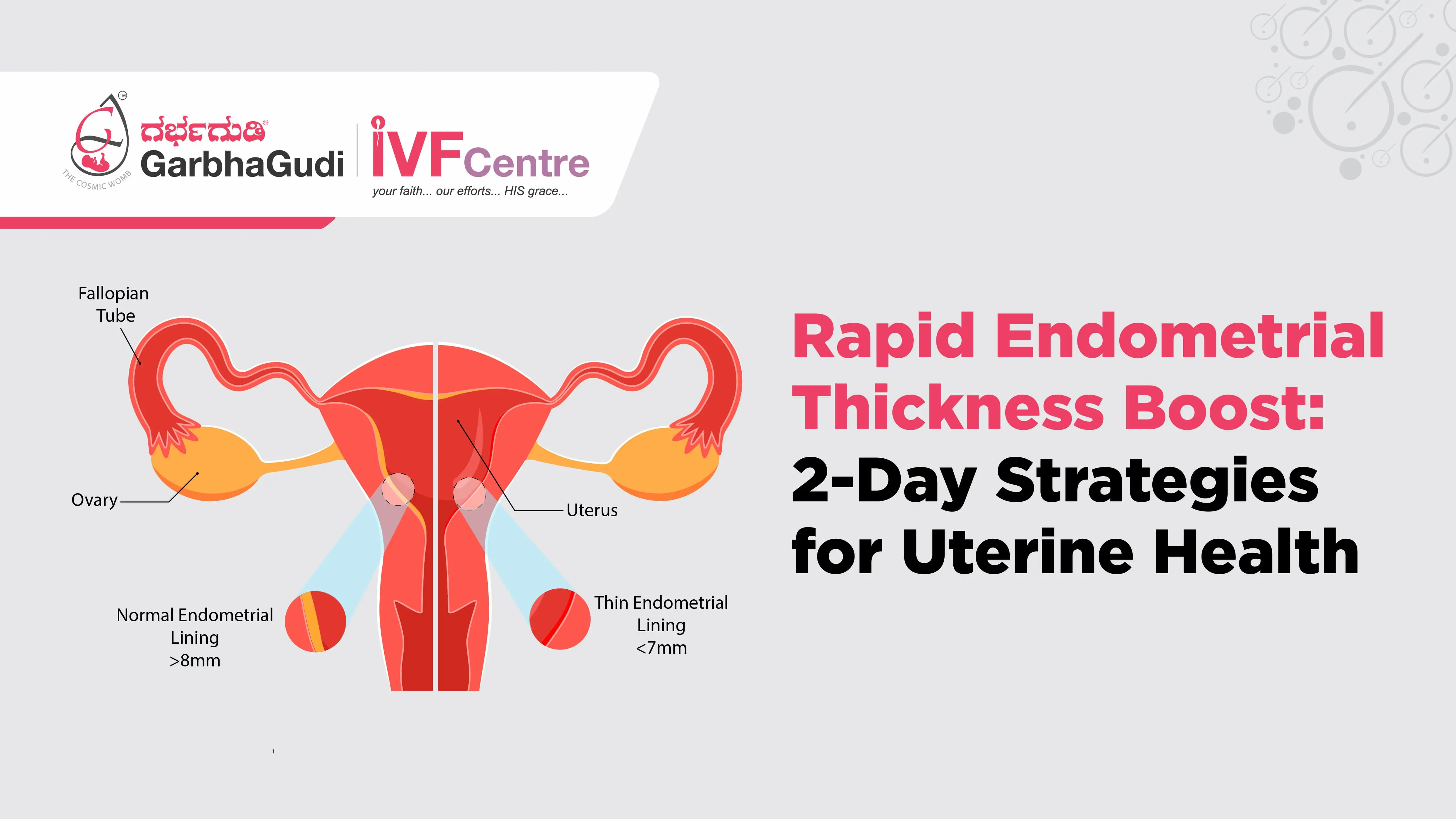 Rapid Endometrial Thickness Boost: 2-Day Strategies for Uterine Health