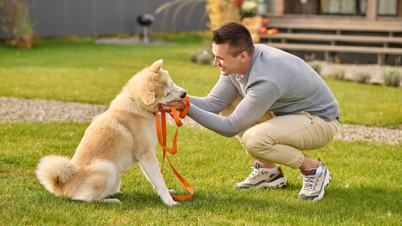 The Ultimate Guide to Puppy Training: Building a Strong Foundation