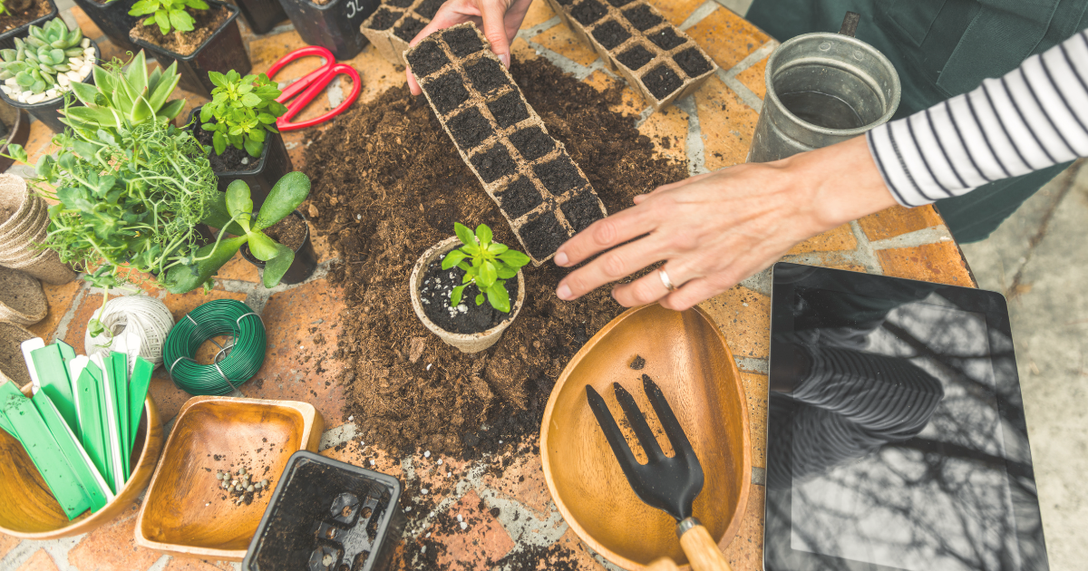 Start seeds indoors or under cover.png