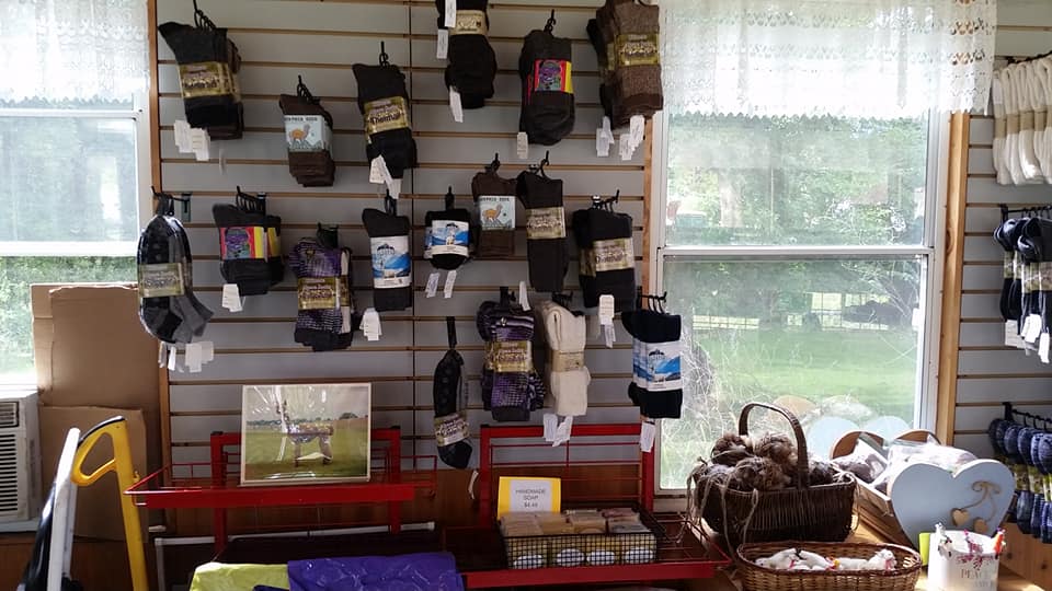 A wall lined in alpaca fiber socks and other products.