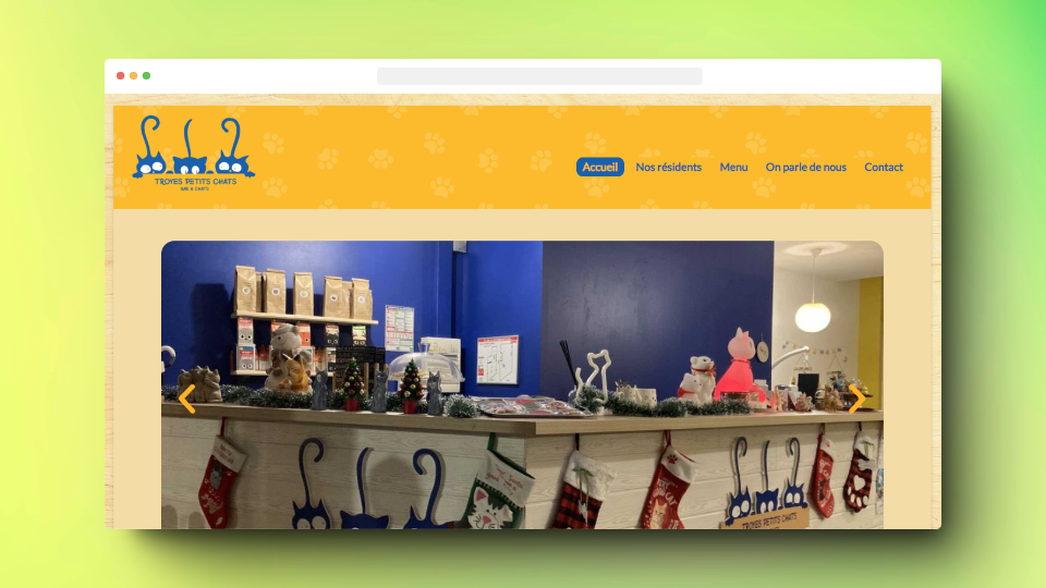 Site web Troyes Petits Chats