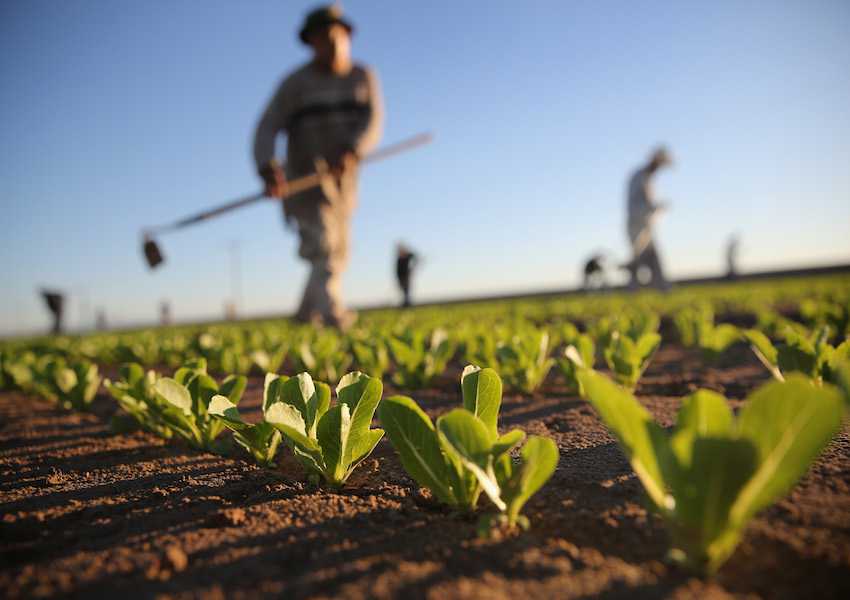 Building A Great Company Is More Like Farming Than Driving A Bus