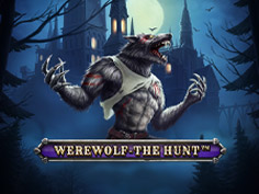 Werewolf - The Hunt