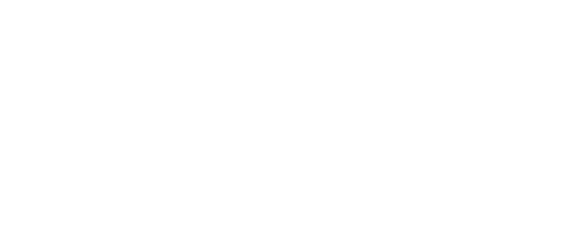 The company logo for SAEPIO Solutions Ltd.