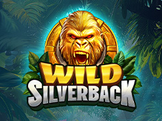 Wild Silverback