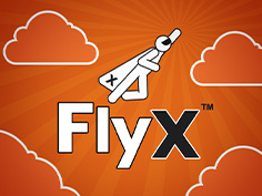FlyX