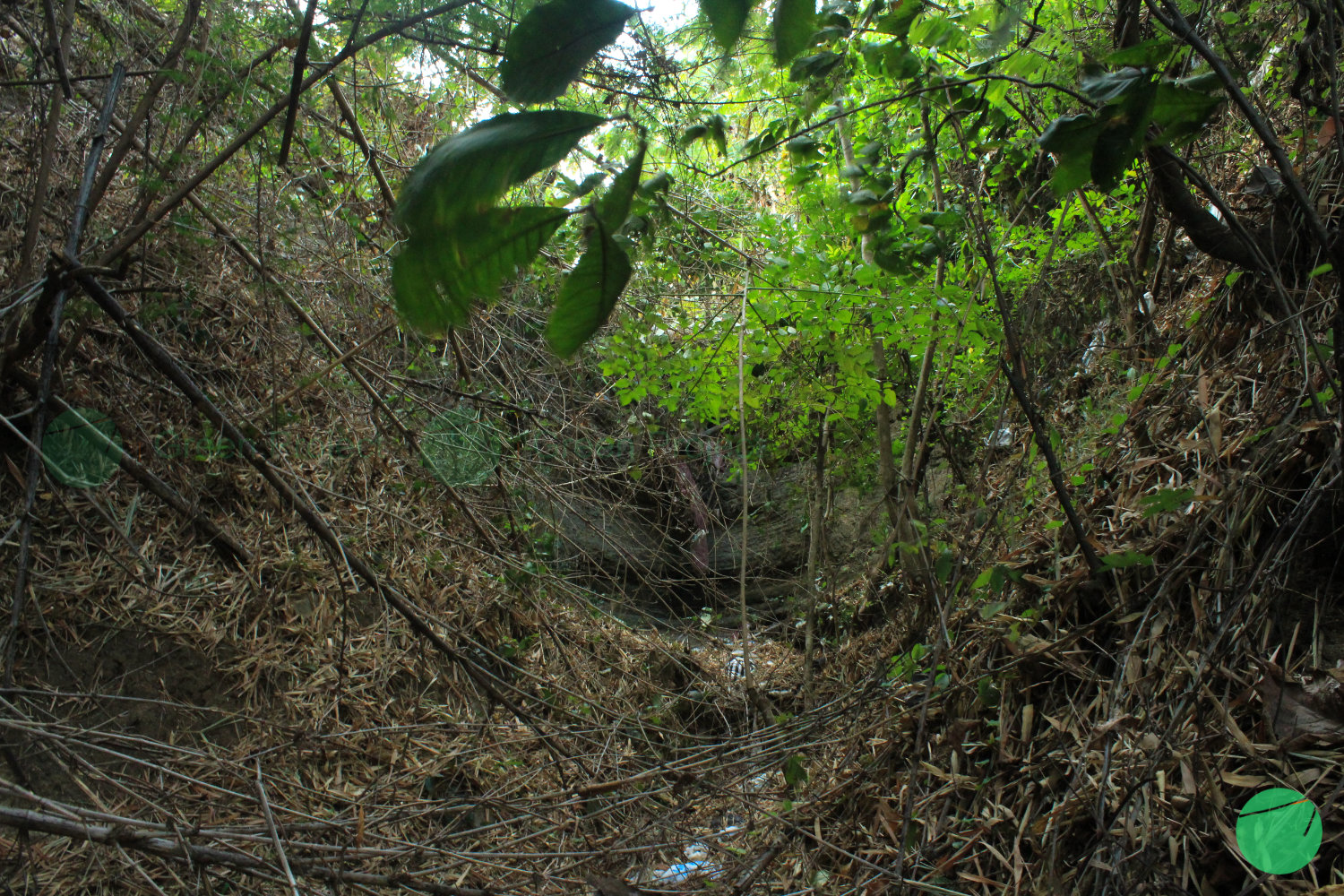 gua jepang di danau setu patok - 5.jpg