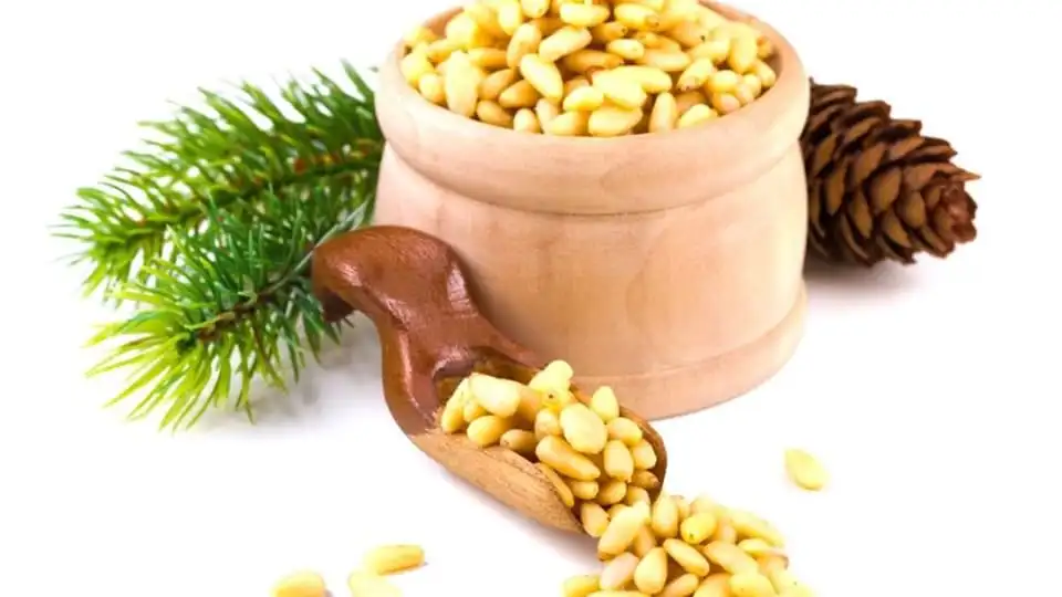 Pine Nuts in a Vegetarian diet
