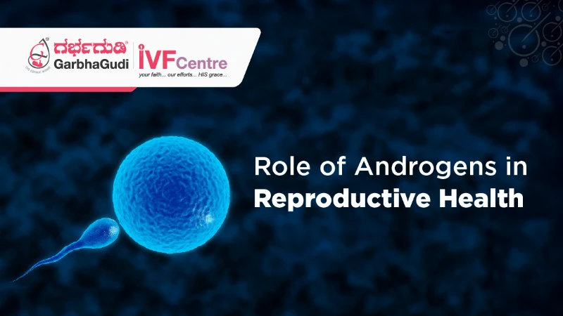 How Androgens Affect Reproductive Outcomes in Fertility Care