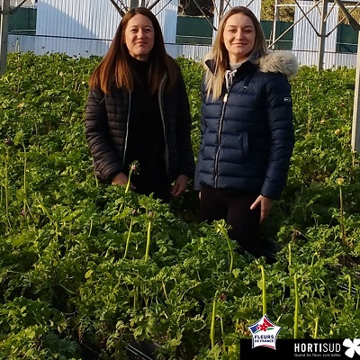 Laetitia et Mélany, deux productrices varoises de renoncules