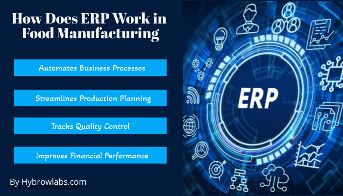 How Does ERP Work.jpeg