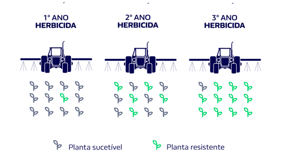 Glifosato: tudo o que você precisa saber sobre o herbicida mais utilizado  no mundo - Blog da Aegro