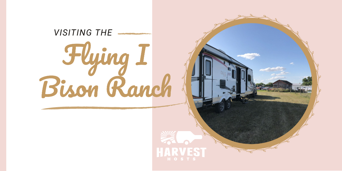 Visiting the Flying I Bison Ranch