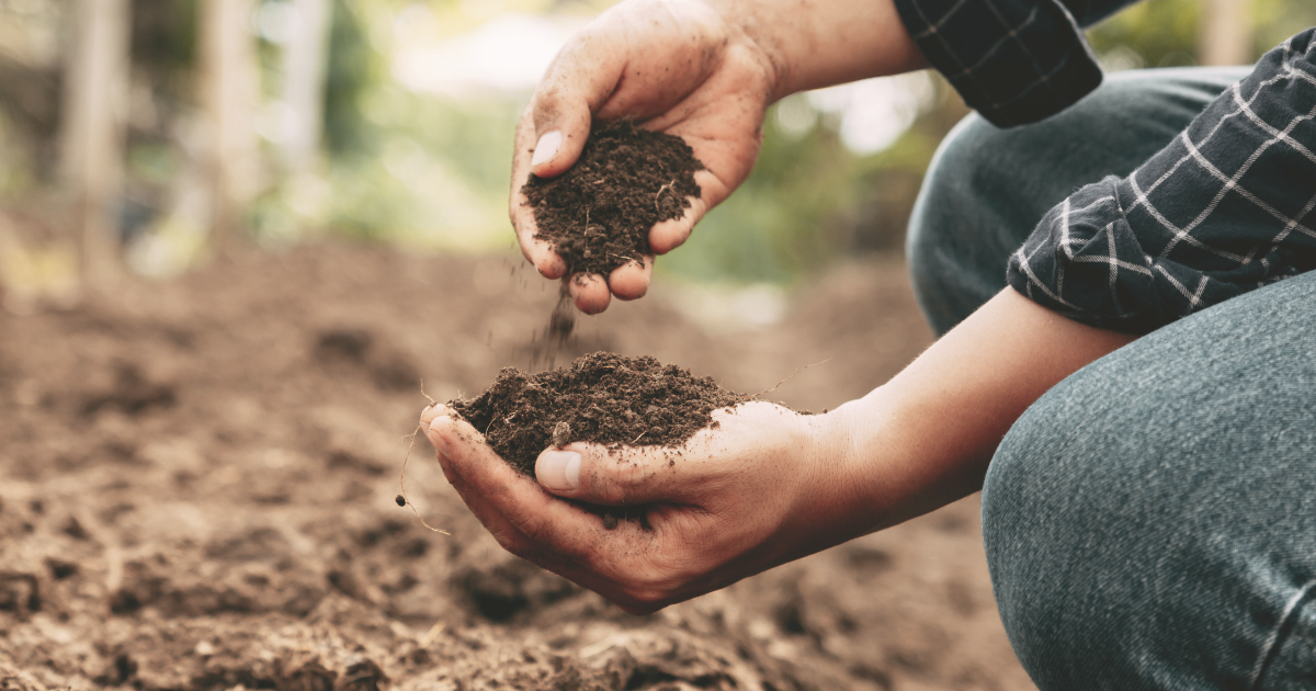 Long-Term Soil Health Maintenance.png
