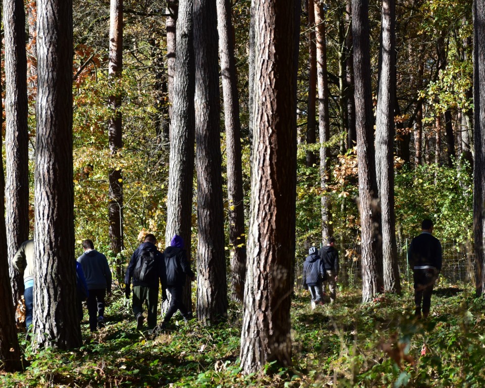 Zajęcia w szkółce leśnej | Grupa kilku chłopców odwrócona tyłem wchodzi między drzewa w lesie..JPG