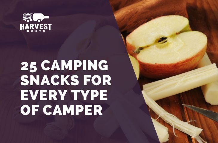 25 Camping Snacks for Every Type of Snacker