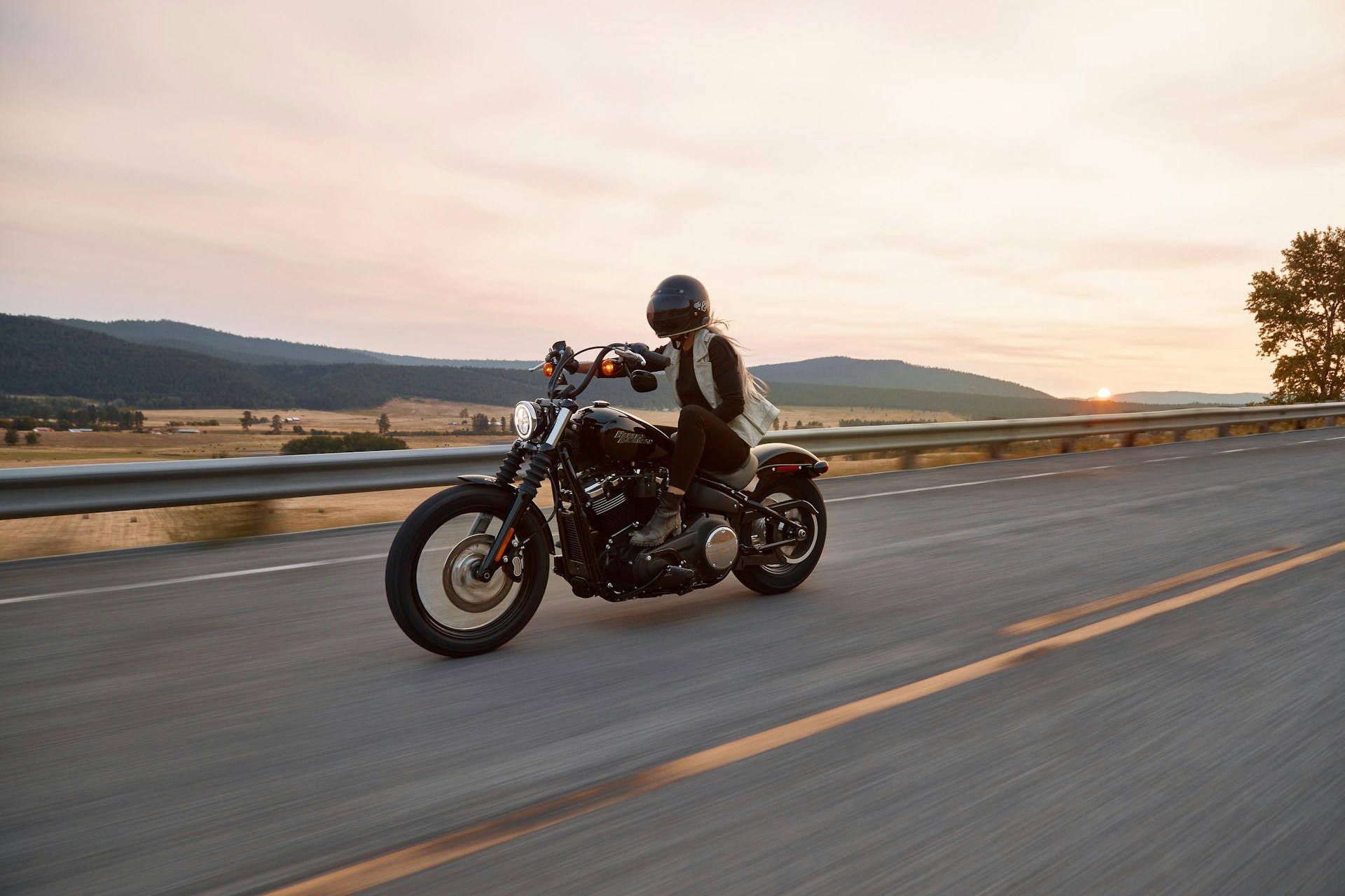 harley-davidson chopper