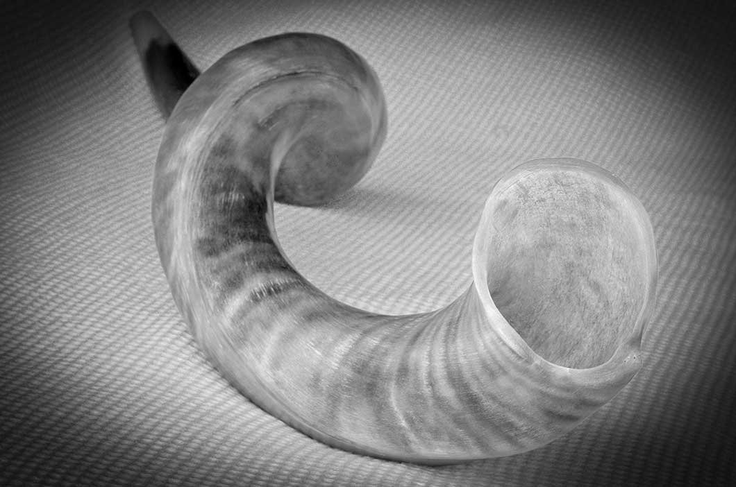 The Shofar and the Fall Festivals Torah Portions FFOZ