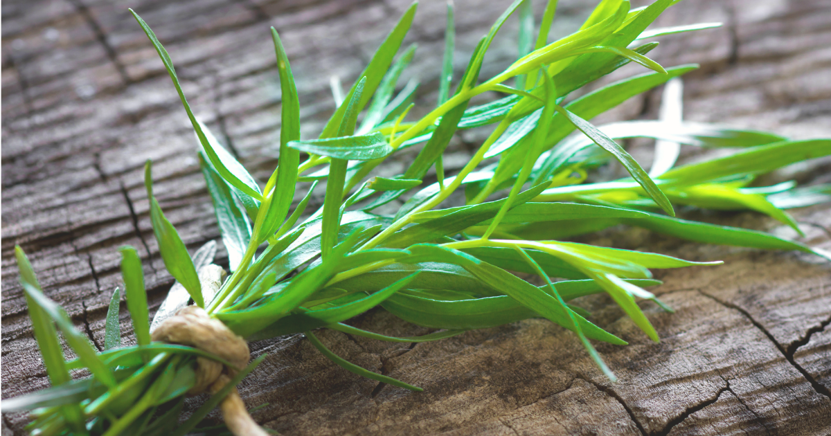 TARRAGON.png