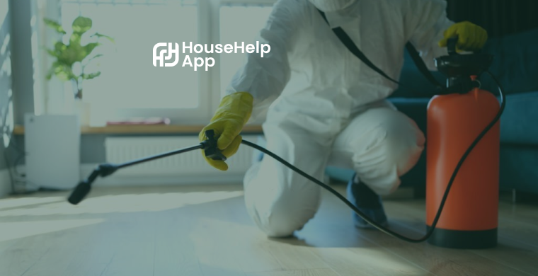 Effective Pest Control Tips for a Pest-Free Household