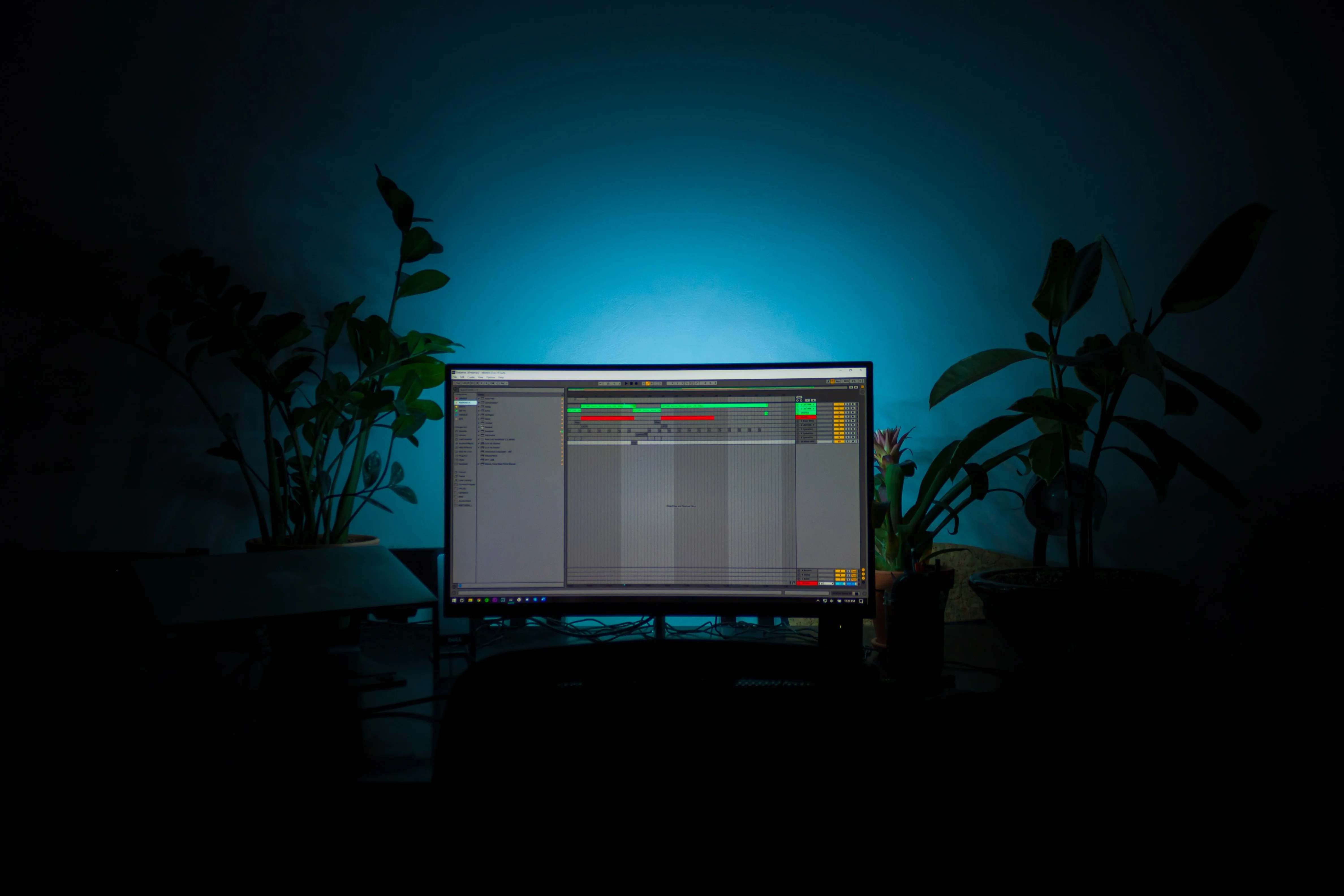 Studio software with plants ligths