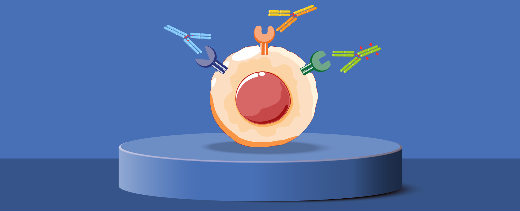 BioCentury - Tumor cell surface targets off the beaten path