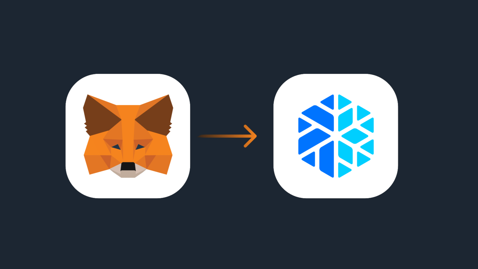 How to Set up a MetaMask Wallet
