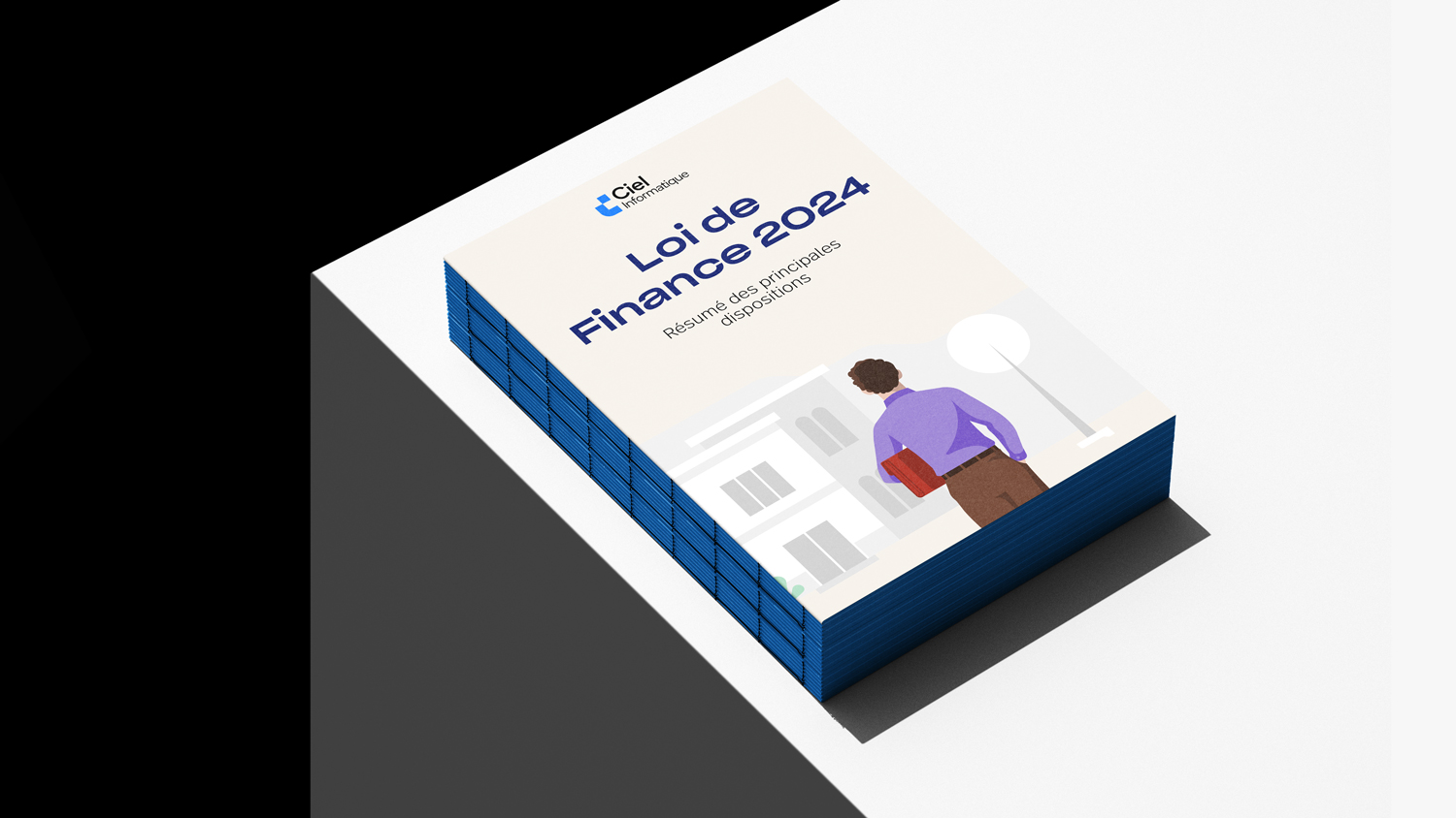 Loi de Finances 2024 Maroc (PLF) Résumé des principales dispositions