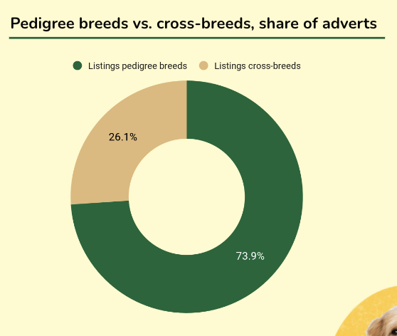 Pedigree breeds vs. cross-breeds, share of adverts.png