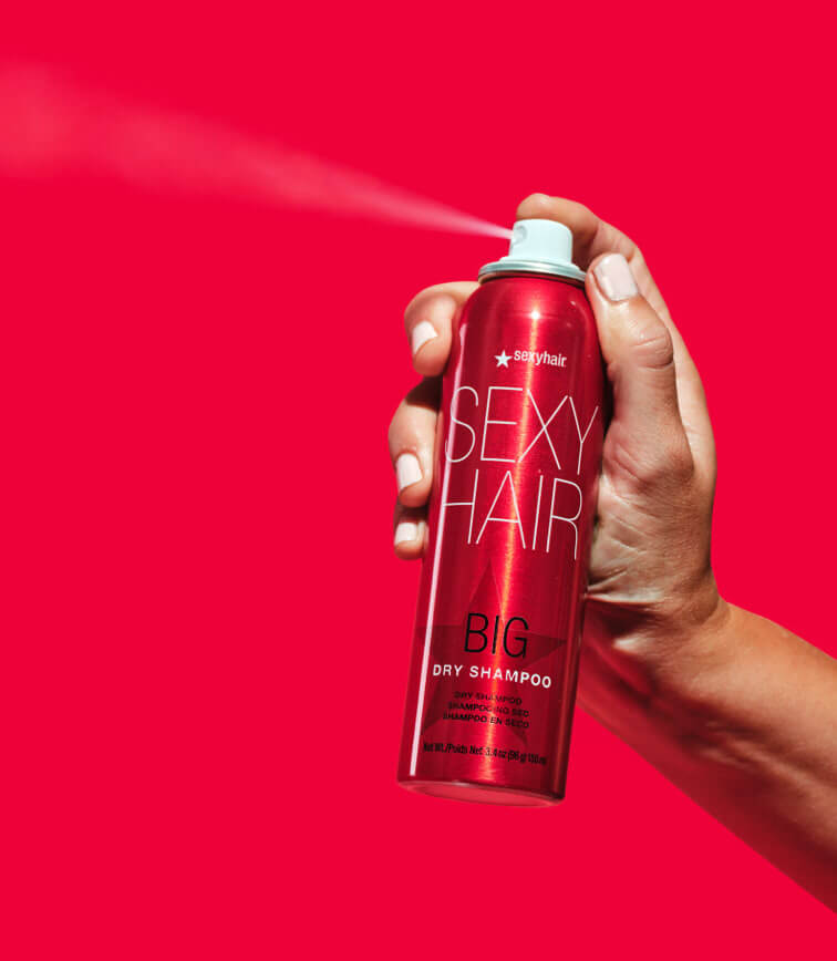 Sexy Hair Big Volumizing Dry Shampoo Hairhouse
