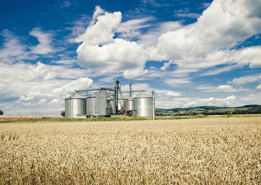 The specialists of grain cooling