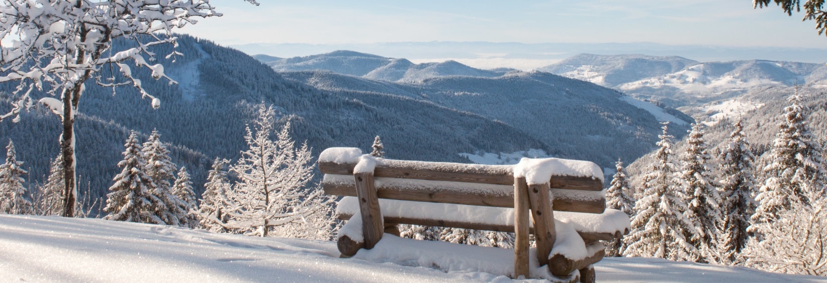 Wintercamping im Schwarzwald » Campingplätze | PiNCAMP by TCS