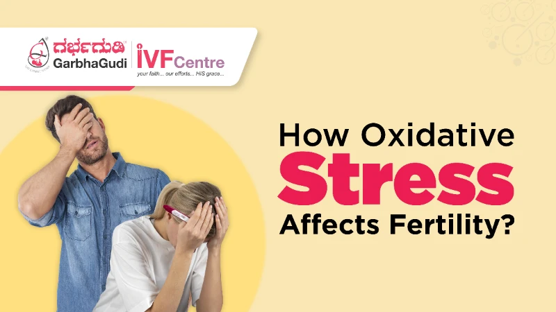 How Oxidative Stress Affects Egg and Sperm Quality