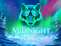 Midnight Wild